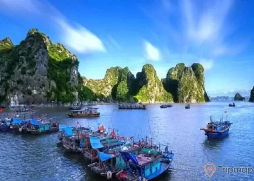 Làng chài Vung Viêng, nhiều thuyền trên biển, mặt nước biển màu xanh, nhiều ngọn núi đá màu xám có cây xanh, trời xanh, ảnh chụp ban ngày
