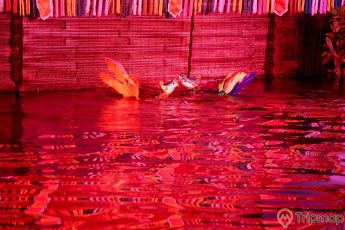 Sân khấu múa rối nước Ánh Trăng, mặt nước có ánh đèn màu đỏ