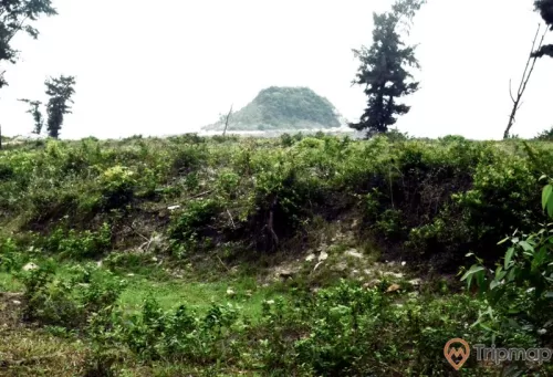 Thành cổ Ngọc Vừng, nhiều cây xanh, ảnh chụp ban ngày, ngọn núi có cây xanh phía xa