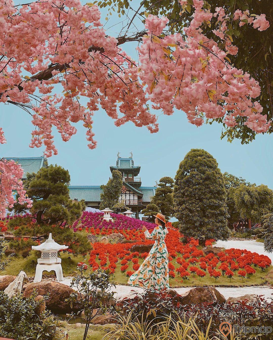Vườn Nhật Bản Zen Garden