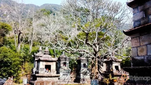 Vườn tháp Huệ Quang- nơi an nghỉ của các Thiền tăng phái Trúc Lâm