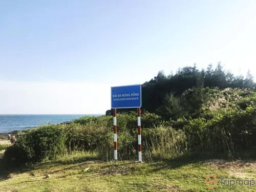 bãi đá cầu mỵ (bãi đá móng rồng), biển chỉ dẫn màu xanh chữ màu trắng "bãi đá Móng Rồng Mong Rong rock beach", bầu trời trong xanh, cây cối xanh tươi sau tấm biển, ảnh chụp ngoài trời
