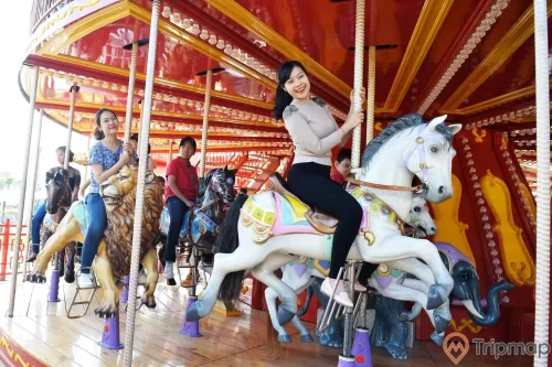 Royal Carousel, Đu Quay Kỳ Diệu, người phụ nữ mặc áo xám đang cưỡi mô hình ngựa, mô hình sư tử màu vàng, trụ quay màu nâu, ảnh chụp ban ngày