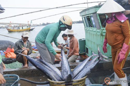 Nguồn hải sản dồi dào được đánh bắt xa - gần bờ