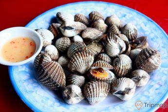 Đầm Ô Loan