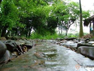 Suối nước khoáng Triêm Đức