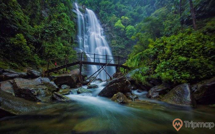 Khám phá vẻ đẹp mê hồn của thác Pú Nhu - Mù Cang Chải