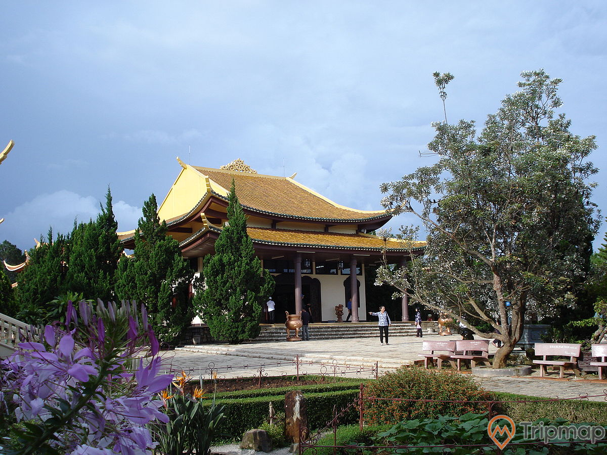Thiền viện Trúc Lâm - nơi bình yên êm ả dưới cánh rừng thông xanh mát 