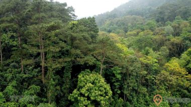 Vườn quốc gia Tam Đảo