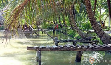 Vườn sinh thái Hoa Súng
