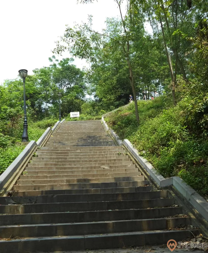 Con đường bậc thang hướng đi lên chùa Long Đọi Sơn, cây cối xanh tươi