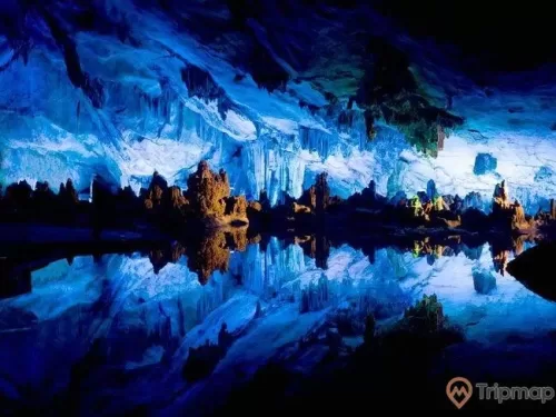 Vẻ đẹp thơ mộng của hang động Hoa tiên dưới ống kính nhiếp ảnh