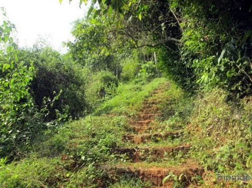 Đường bậc thang dẫn lối đi lên động Tiên Phi