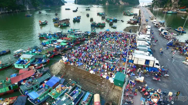 a high angle view of a port
