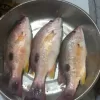 a group of fish in a pan