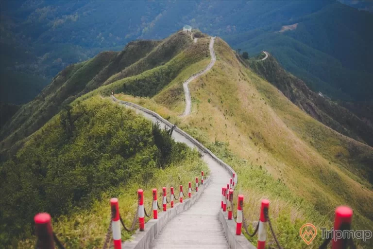 a road going through a mountain