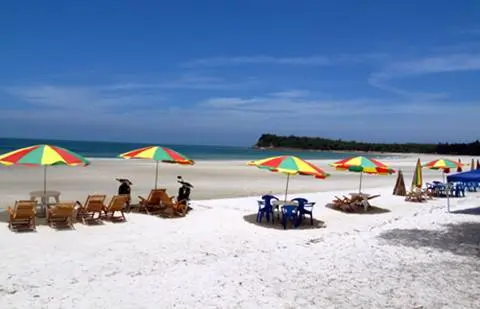 a beach with umbrellas
