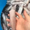 a hand holding a fish