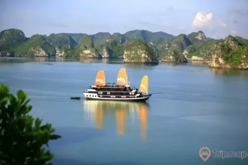 a boat on the water