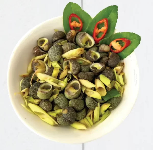 a bowl of food