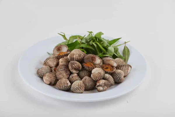 a plate of food