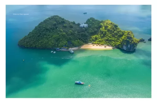 an island with trees and boats