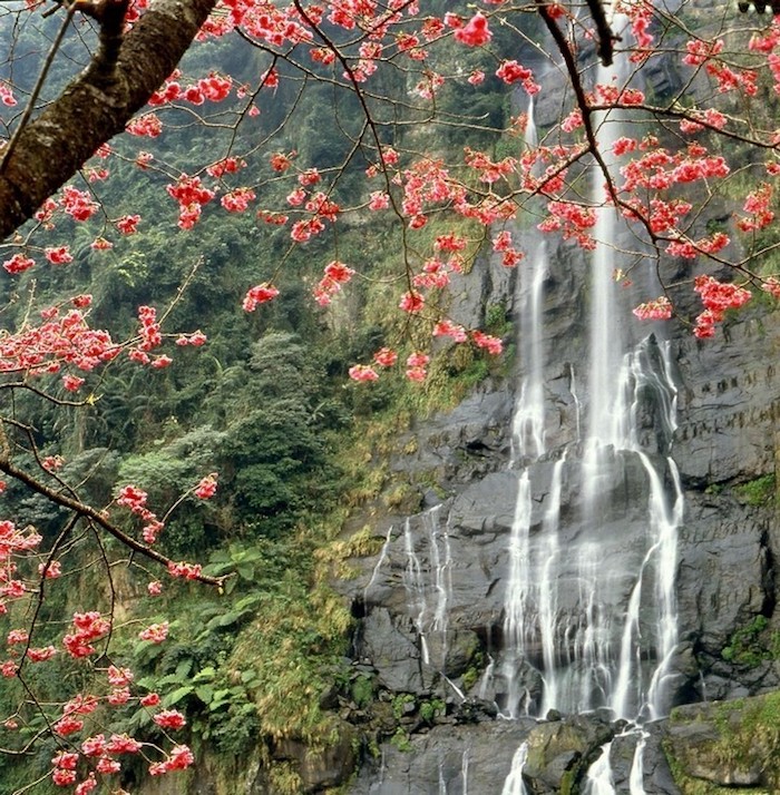 địa điểm ngắm lá phong ở Đài Loan