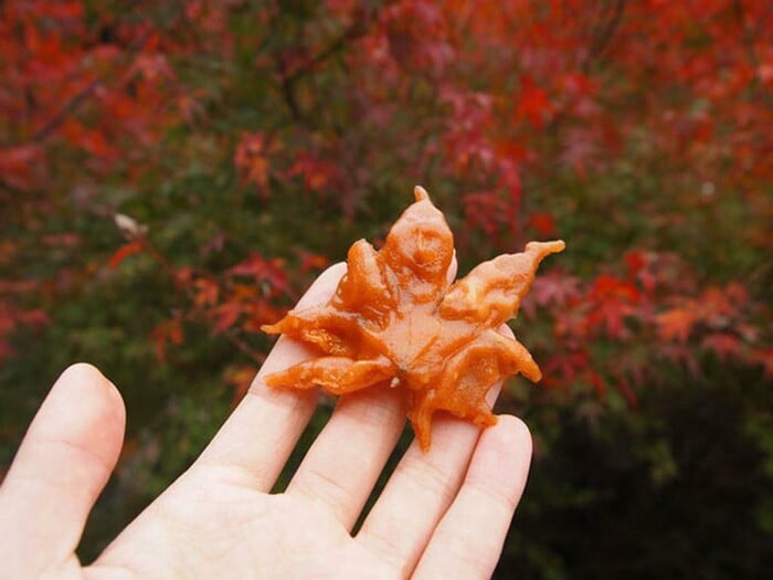 Cảm nhận khoảnh khắc giao mùa đầy cảm xúc với toplist những món ăn mùa thu ở Nhật Bản độc đáo