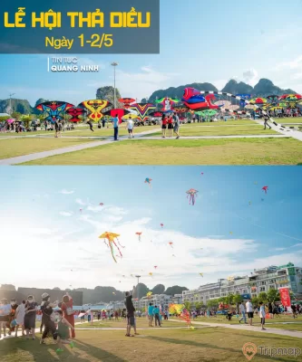 a group of people flying kites