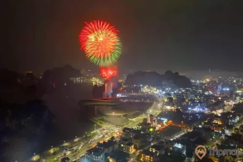 a firework exploding over a city