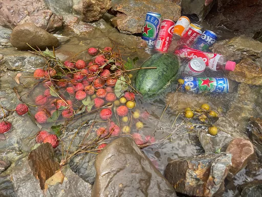 ngâm bia và hoa quả dưới dòng suối