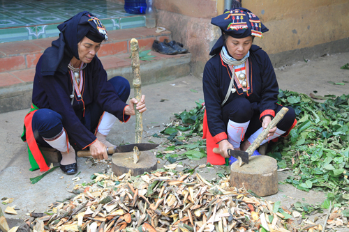 Làng Văn hóa Du lịch – Dược liệu thôn Tân Sơn