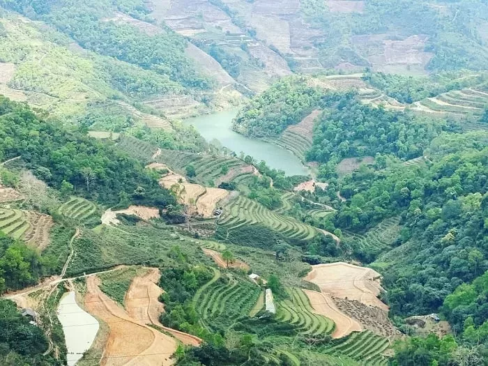 Bát Đại Sơn
