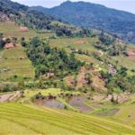 Nhà nghỉ Quán lá