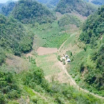 Homestay Thào Phái