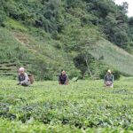Homestay Thành Sò