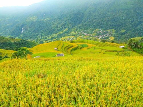 Homestay Cháng Văn Diện