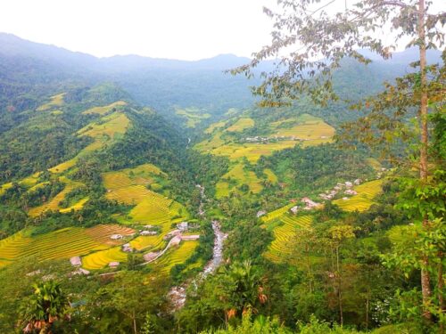 Homestay ĐặngVăn Vui