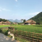 Thơm Homestay
