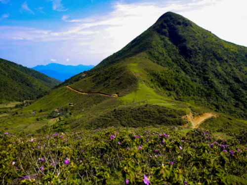 Núi Cao Ly có nhiều đỉnh núi cao hơn 1000m so với mực nước biển