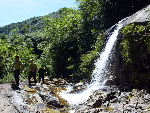 Hệ sinh thái trong núi Quảng Nam Châu có nhiều tài nguyên phong phú