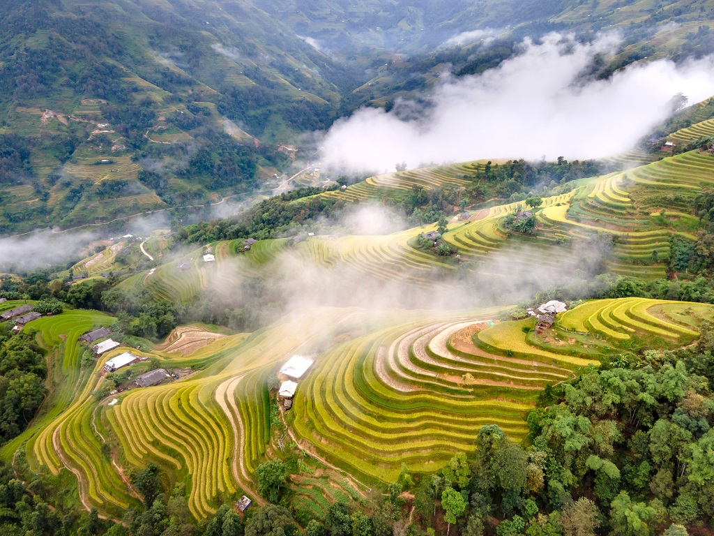 Du lịch Hà Giang mùa thu chiêm ngưỡng vẻ đẹp của những thửa ruộng bậc thang chín vàng