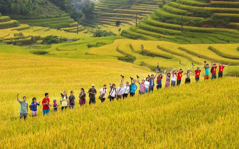 Du lịch Hà Giang mùa thu chiêm ngưỡng vẻ đẹp của những thửa ruộng bậc thang chín vàng