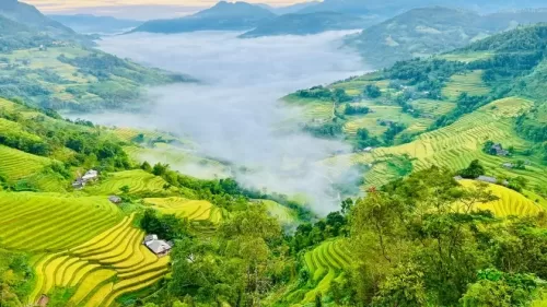 Du lịch Hà Giang mùa thu chiêm ngưỡng vẻ đẹp của những thửa ruộng bậc thang chín vàng