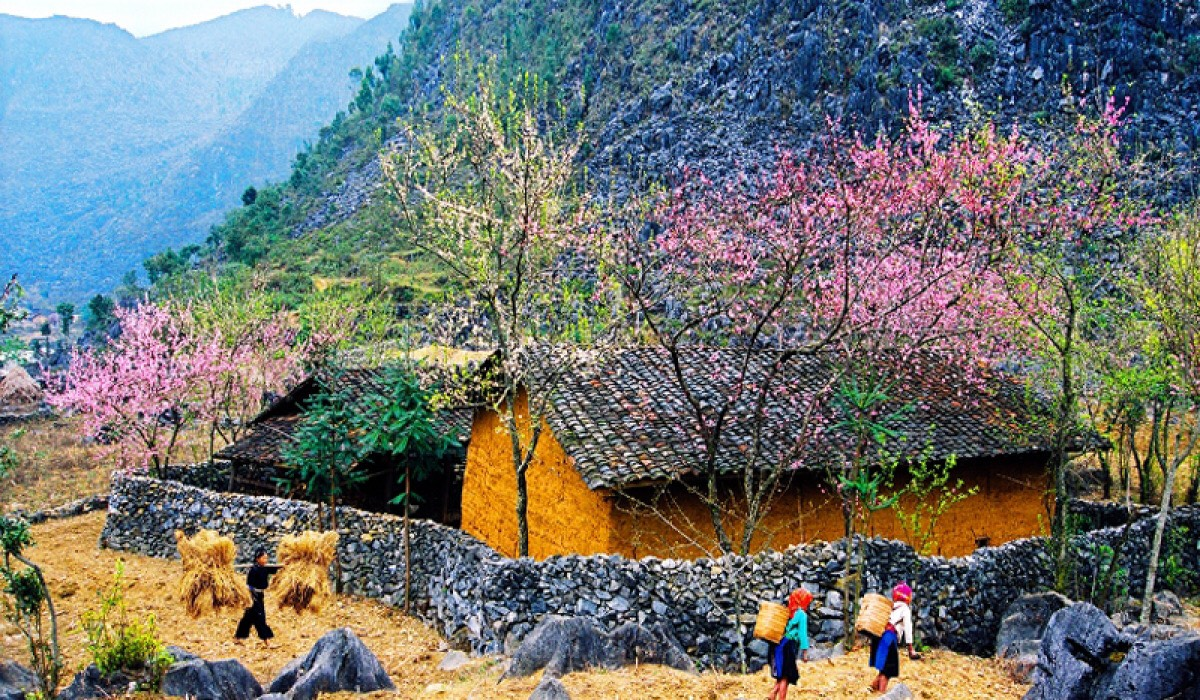 Lạc bước Hà Giang nơi giao thoa của văn hóa, lịch sử và thiên nhiên