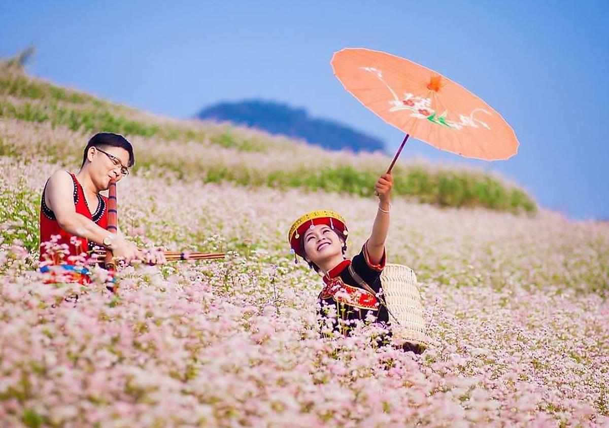 Thời điểm lý tưởng để du lịch Hà Giang ngắm hoa tam giác mạch, hoa cải