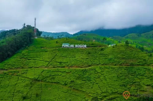 Dịch vụ “vợ tạm, chồng hờ” tại Indonesia: Sự phát triển gây tranh cãi trong du lịch Puncak