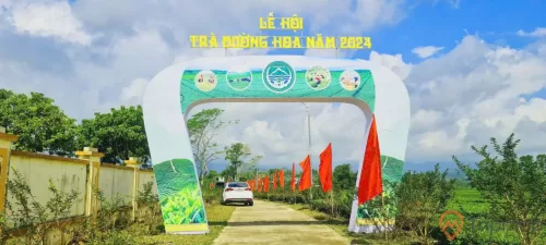 Lịch trình chi tiết Lễ hội Trà Đường Hoa 2024 tại Hải Hà