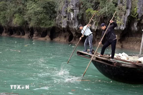 Nhiều giải pháp ứng phó với biến đổi khí hậu trong phát triển du lịch xanh tại Quảng Ninh