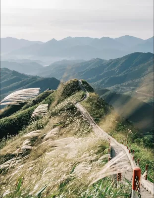 “Biển Người” Đổ Về Bình Liêu Check-in Giữa “Thiên Đường Cỏ Lau”